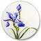 Designart - Retro Blue Iris Flower - Traditional Metal Circle Wall Art